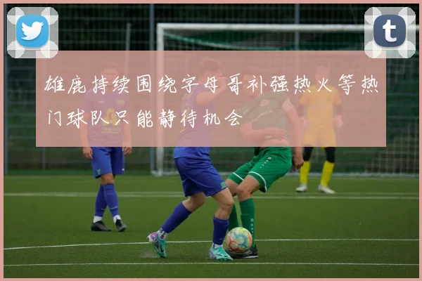雄鹿持续围绕字母哥补强热火等热门球队只能静待机会